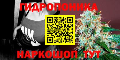 прущие крисы Кинель
